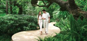 1987634783 hosa road website 1000 x 480 02 0