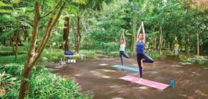 1987634783 hosa road website 1000 x 480 03 0